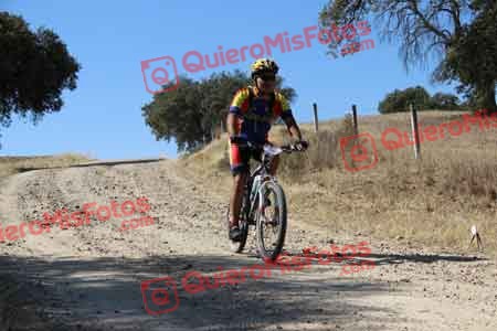 PAULINO VICARIO SANTAMARIA Talajara 2015 08448