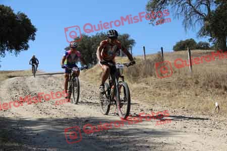 JOSE MARIA TORRECILLA ROJAS Talajara 2015 08558