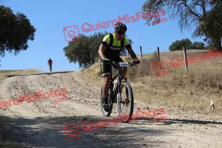 JAVIER VERGES ROGER Talajara 2015 08573