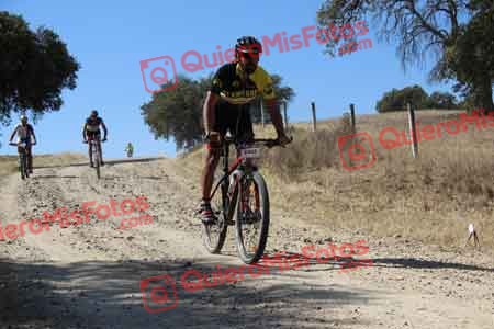 MIGUEL HERNANDEZ ESTERAS Talajara 2015 08638