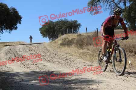 RAFAEL DE MIGUEL PARIENTE Talajara 2015 08708