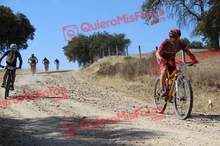 MIGUEL SERRANO SOLIS Talajara 2015 08726