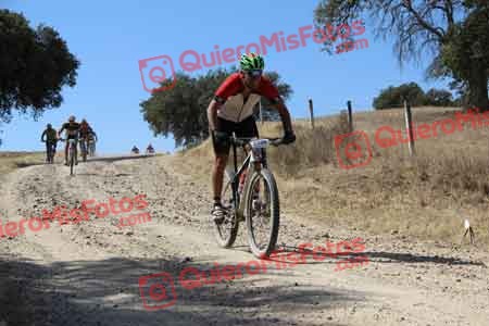 GUILLERMO CARRERA LOPEZ Talajara 2015 08737