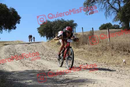 JAVIER AGUADO TORREJON Talajara 2015 08797