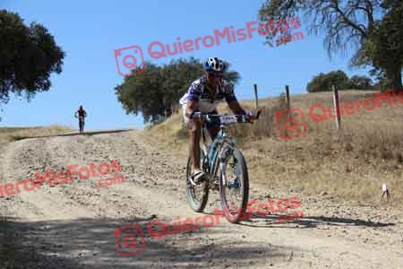 JUAN OLAYA GOMEZ Talajara 2015 08819
