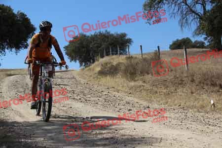 JOSE MARIA VAZQUEZ VAZQUEZ Talajara 2015 08912