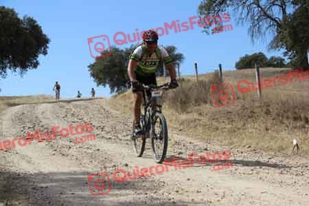 JUAN ANTONIO ARROBA COBO Talajara 2015 09117