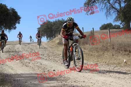 JESUS LOBO TORRE Talajara 2015 09123