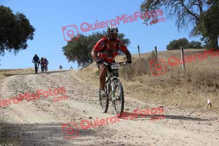ANTONIO ORTEGA SANCHEZ Talajara 2015 09143