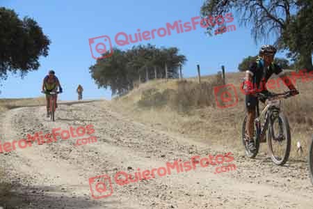 JOSE LUIS VICARIO GOMEZ Talajara 2015 09581