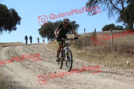 ENRIQUE MARTIN TERESA Talajara 2015 09725