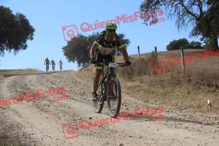 JUAN JOSE LARA CASADO Talajara 2015 09915