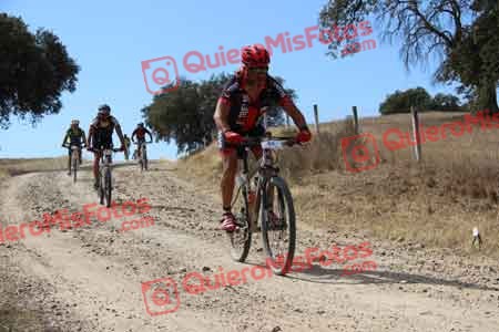 JESUS SAELICES NOVILLO Talajara 2015 09935