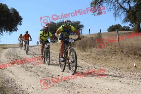 JOSE LUIS PALOMAR PEREZ Talajara 2015 09952