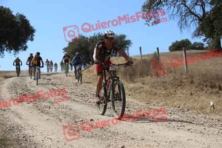 IGNACIO MOROLLON ARIAS Talajara 2015 09960