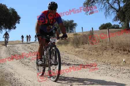 JOSE LUIS GARCIA CORRALES Talajara 2015 10023