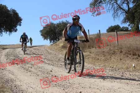 JULIAN AMOR GARCIA Talajara 2015 10113