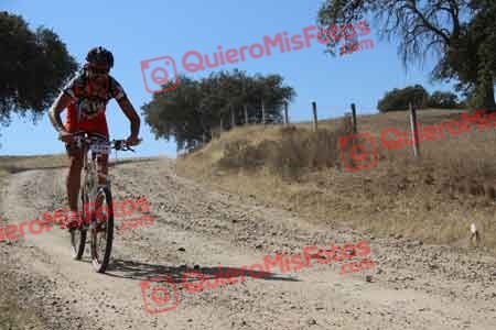 LUIS MIGUEL SANCHEZ GONZALEZ Talajara 2015 10147