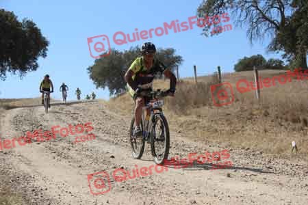 TOMAS MORA DE LA CAL Talajara 2015 10153