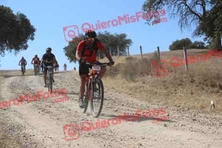 JOSE LUIS GARCIA LARA Talajara 2015 10169