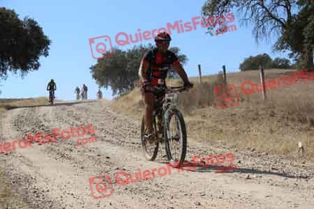 JOSE IGNACIO BELTRAN MONTIEL Talajara 2015 10297
