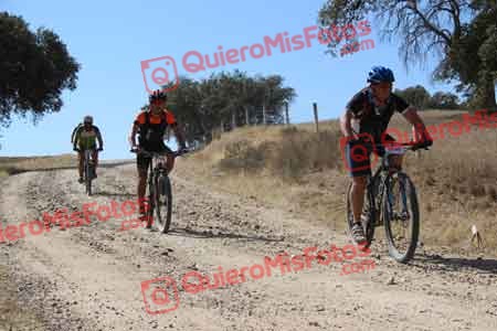 Talajara 2015 10421