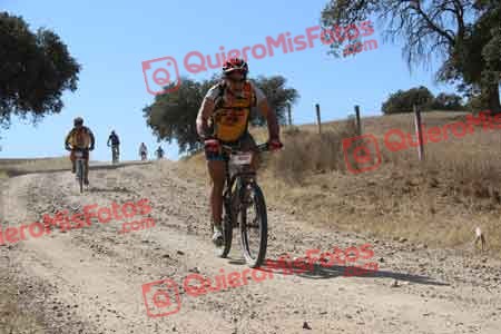 JESUS CALVO RECIO Talajara 2015 10468