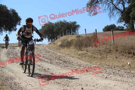 PEDRO MARTIN TELLEZ Talajara 2015 10519