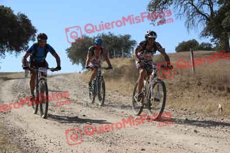 JOSE MARIA SORIANO MARTIN Talajara 2015 10628