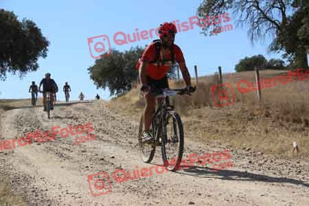 GUSTAVO ELEZ GONZALEZ Talajara 2015 10638