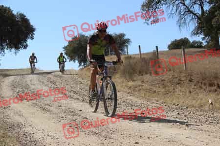 SERGIO SAEZ AYALA Talajara 2015 10699