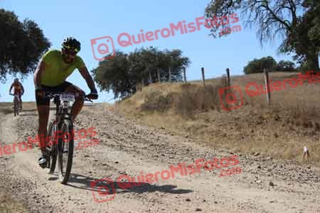 MARIO ALIA MORENO Talajara 2015 10710