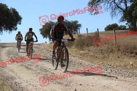 JUAN CARLOS CERECEDA MONTES Talajara 2015 10731