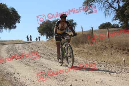 VICTOR QUESADA ESTEBAN Talajara 2015 10734