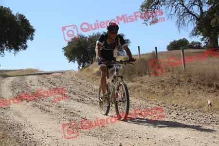 JOSE LUIS MARTOS MARTIN Talajara 2015 10771