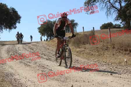 JULIO RODRIGUEZ FRANCISCO Talajara 2015 10786
