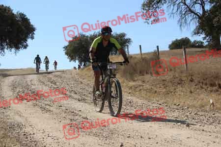 JOSE LUIS SUELA NUNEZ Talajara 2015 10788