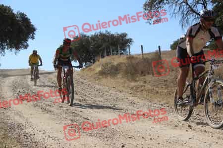 JOSE LUIS MARTIN NEVADO Talajara 2015 10827