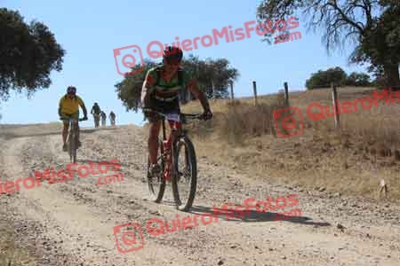 JOSE LUIS MARTIN NEVADO Talajara 2015 10828