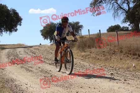 MIGUEL MARTINEZ CAMACHO Talajara 2015 10903