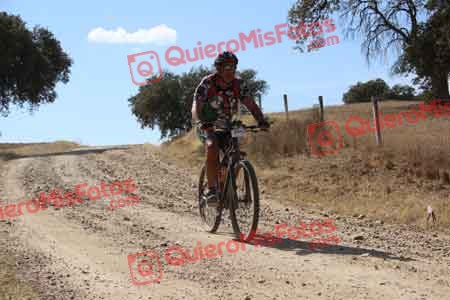 HIPOLITO ATIENZA LERIN Talajara 2015 10905