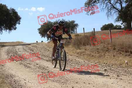 MIGUEL ANGEL GUTIERREZ DIAZ Talajara 2015 10916