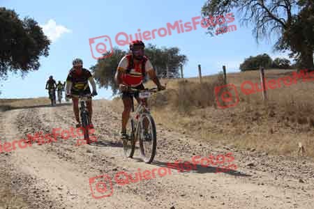 JOSE TOMAS CEDENILLAS BERNAL Talajara 2015 10994