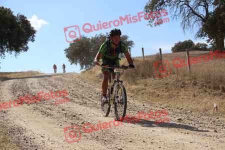 MARIO ACEITUNO ROSADO Talajara 2015 11002
