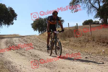 JOSE MARIA GOMEZ HIDALGO GUTIERREZ Talajara 2015 11020