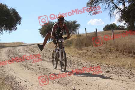 DAVID MAYORAL OLOMBRADA Talajara 2015 11120
