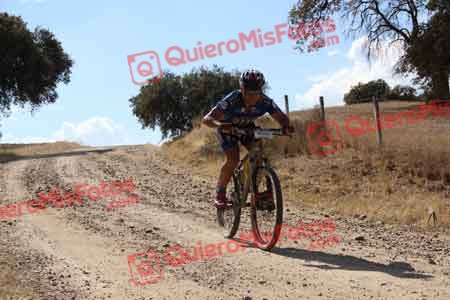 ANTONIO FERNANDEZ MARIN Talajara 2015 11160