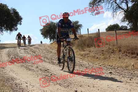 JOSE LUIS CABAL PEREZ Talajara 2015 11164
