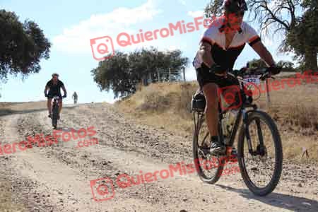 ALBERTO TERRONES DEL PINO Talajara 2015 11212