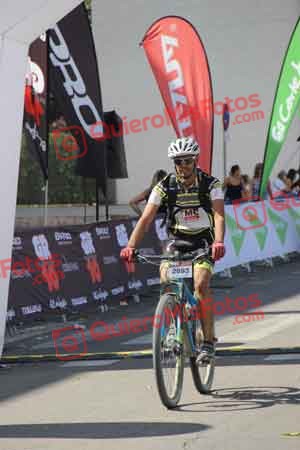 SERGIO GOMEZ AMORES Talajara 2015 14703
